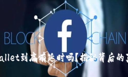 tpWallet到底有延时吗？揭秘背后的真相！