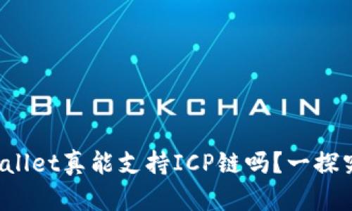 tpWallet真能支持ICP链吗？一探究竟！