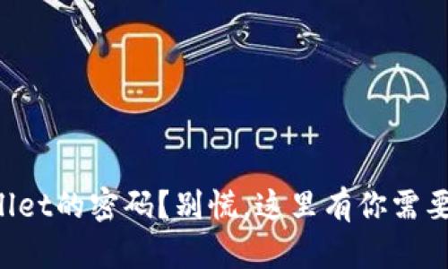忘记了tpWallet的密码？别慌，这里有你需要知道的一切！