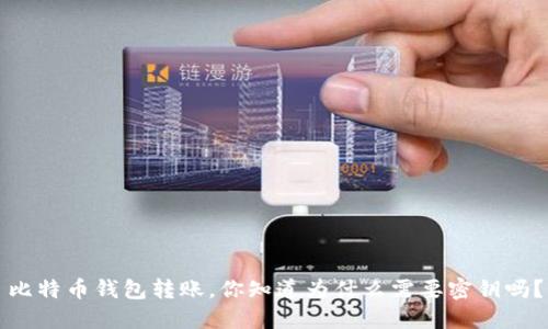 比特币钱包转账，你知道为什么需要密钥吗？