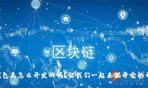 你知道TP钱包是怎么开发的吗？让我们一起来揭开它的开发原理吧！