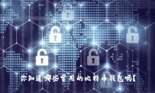 你知道哪些常用的比特币钱包吗？