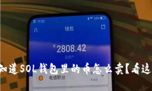 想知道SOL钱包里的币怎么卖？看这里！