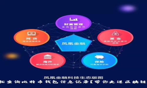 怎么轻松查询比特币钱包信息记录？带你走进区块链的世界！
