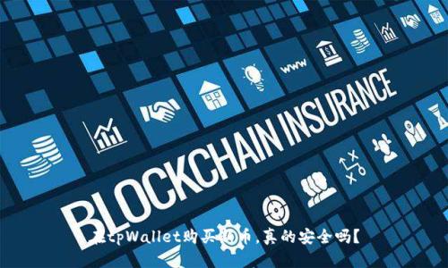 在tpWallet购买新币，真的安全吗？