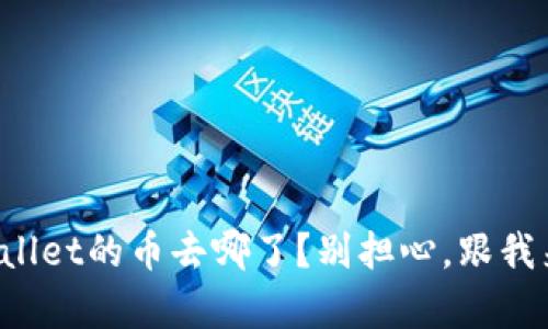 火币转tpWallet的币去哪了？别担心，跟我来了解真相！