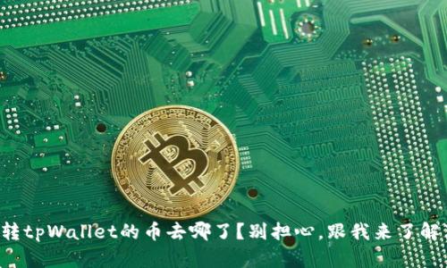 火币转tpWallet的币去哪了？别担心，跟我来了解真相！
