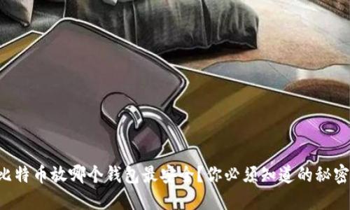 比特币放哪个钱包最安全？你必须知道的秘密！