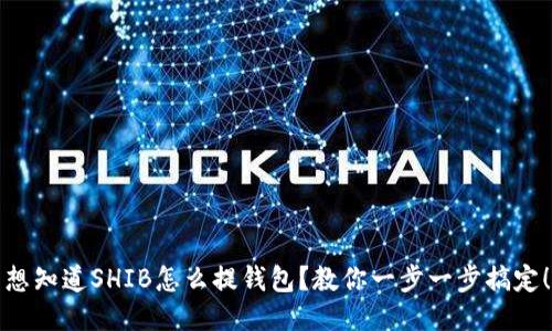 想知道SHIB怎么提钱包？教你一步一步搞定！
