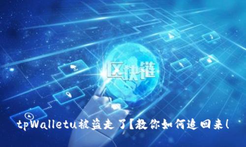 tpWalletu被盗走了？教你如何追回来！