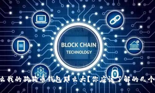 为什么我的狗狗币钱包那么大？你应该了解的几个原因！