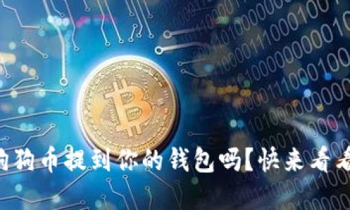 想知道怎么将狗狗币提到你的钱包吗？快来看看这份实用指南！