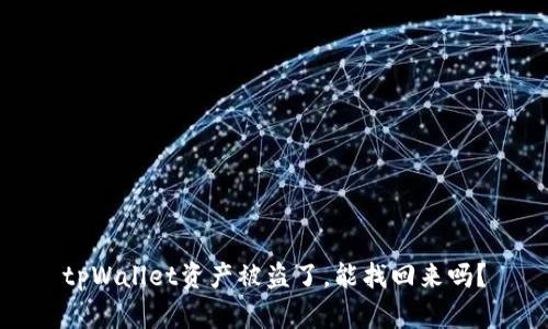 tpWallet资产被盗了，能找回来吗？