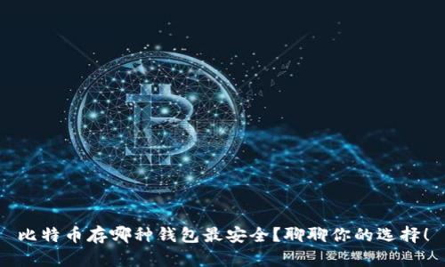比特币存哪种钱包最安全？聊聊你的选择！