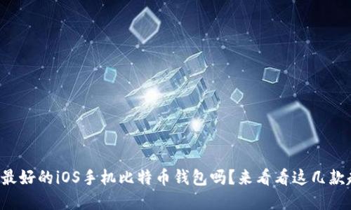 你在寻找最好的iOS手机比特币钱包吗？来看看这几款超级推荐！