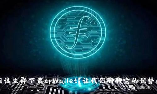 为什么你应该立即下载tpWallet？让我们聊聊它的优势和使用体验