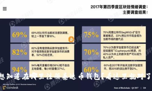 想知道在哪里注册泰达币钱包？看这里就对了！