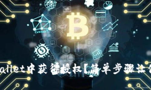 如何在tpWallet中获得授权？简单步骤让你轻松搞定！