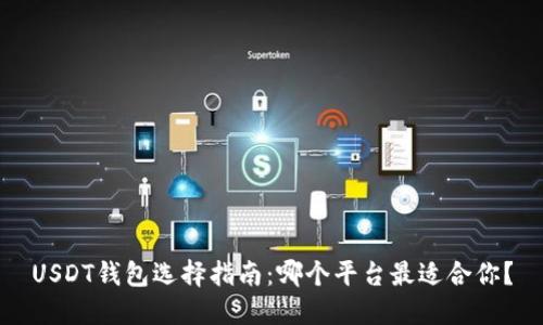 USDT钱包选择指南：哪个平台最适合你？