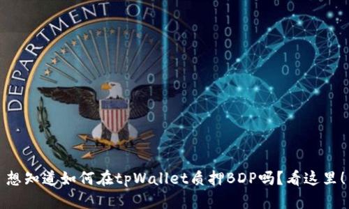 想知道如何在tpWallet质押BDP吗？看这里！