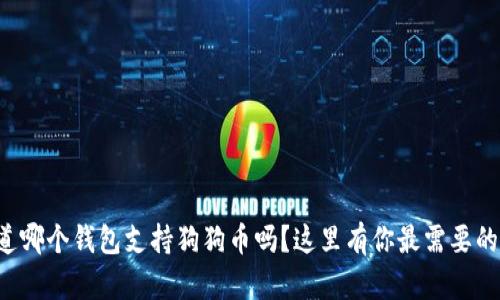 想知道哪个钱包支持狗狗币吗？这里有你最需要的信息！