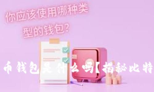 你知道早期比特币钱包是什么吗？揭秘比特币的起源与演变