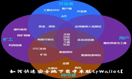 如何快速安全地下载中本聪tpWallet？