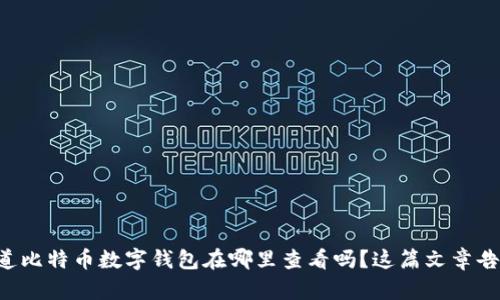 想知道比特币数字钱包在哪里查看吗？这篇文章告诉你！