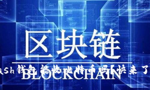 你知道Kcash钱包能收比特币吗？快来了解一下吧！