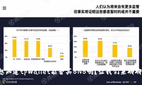 你想知道tpWallet能否买BNB吗？让我们来聊聊吧！