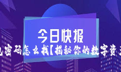 比特币钱包密码怎么找？揭秘你的数字资产安全之道