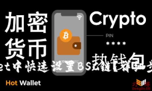 如何在tpWallet中快速设置BSC链？详细步骤与技巧分享