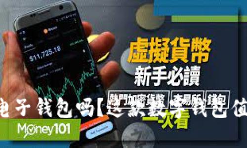 你了解TP电子钱包吗？这款数字钱包值得你关注！