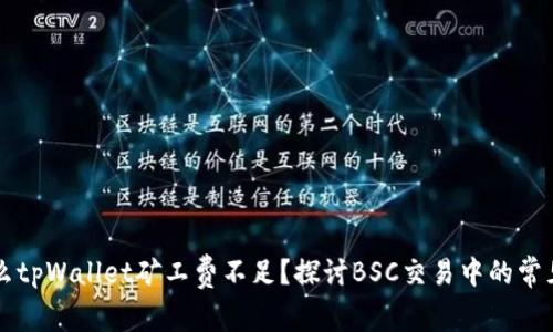 为什么tpWallet矿工费不足？探讨BSC交易中的常见问题