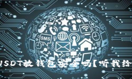 100万USDT放钱包安全吗？听我给你聊聊！