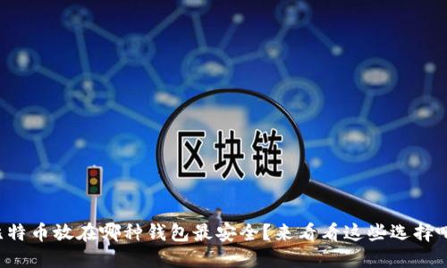 比特币放在哪种钱包最安全？来看看这些选择吧！