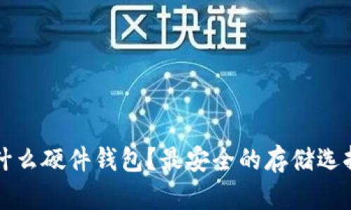 狗狗币用什么硬件钱包？最安全的存储选择完全解析