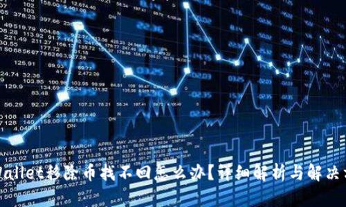 tpWallet移除币找不回怎么办？详细解析与解决方案