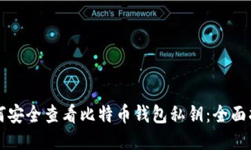 如何安全查看比特币钱包私钥：全面指南