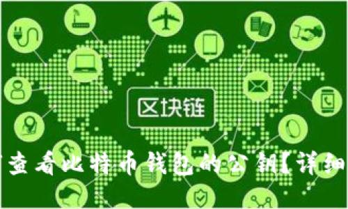如何查看比特币钱包的公钥？详细指南