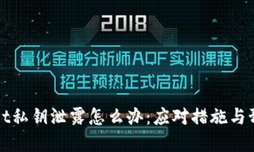 tpWallet私钥泄露怎么办：应对措施与预防方法