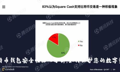 比特币钱包安全性深入分析：如何保护您的数字资产