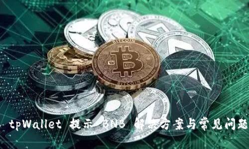 连接 tpWallet 提示 BNB 解决方案与常见问题解析