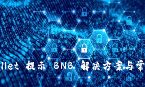 连接 tpWallet 提示 BNB 解决方案与常见问题解析