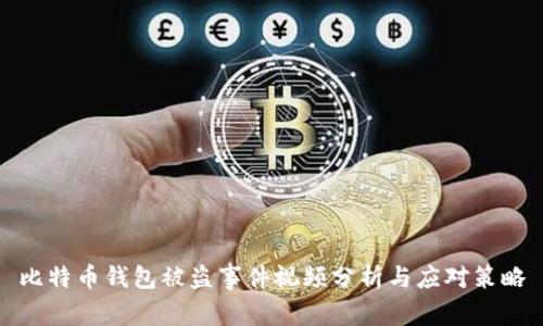 比特币钱包被盗事件视频分析与应对策略