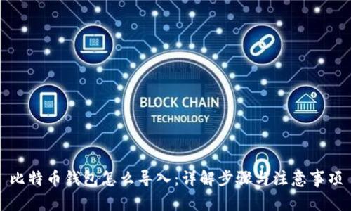 比特币钱包怎么导入：详解步骤与注意事项
