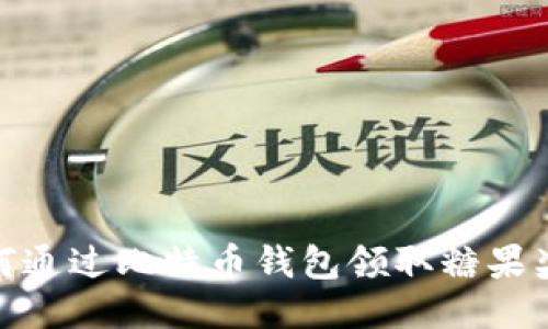 如何通过比特币钱包领取糖果奖励