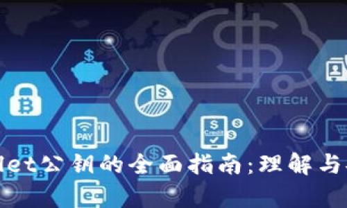 : tpWallet公钥的全面指南：理解与安全管理