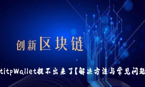 ziaotitpWallet提不出来了？解决方法与常见问题分析