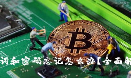 tpWallet助记词和密码忘记怎么办？全面解析与解决方案